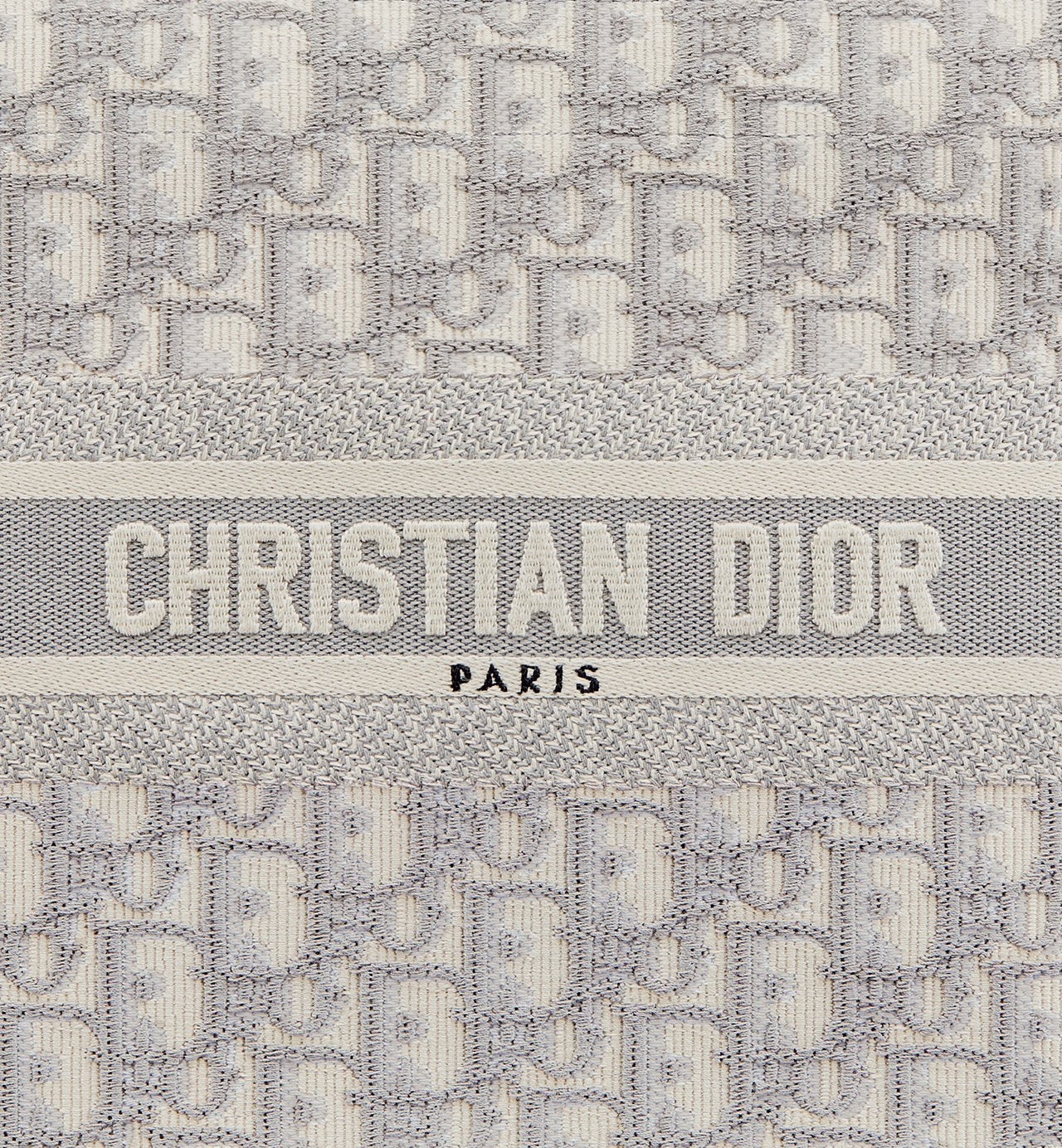 Sac Dior Book Tote Small