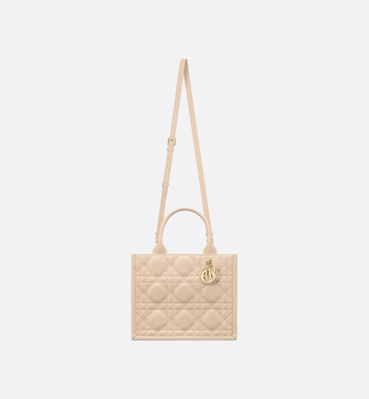 Sac Dior Book Tote Small