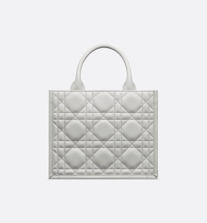 Sac Dior Book Tote Small