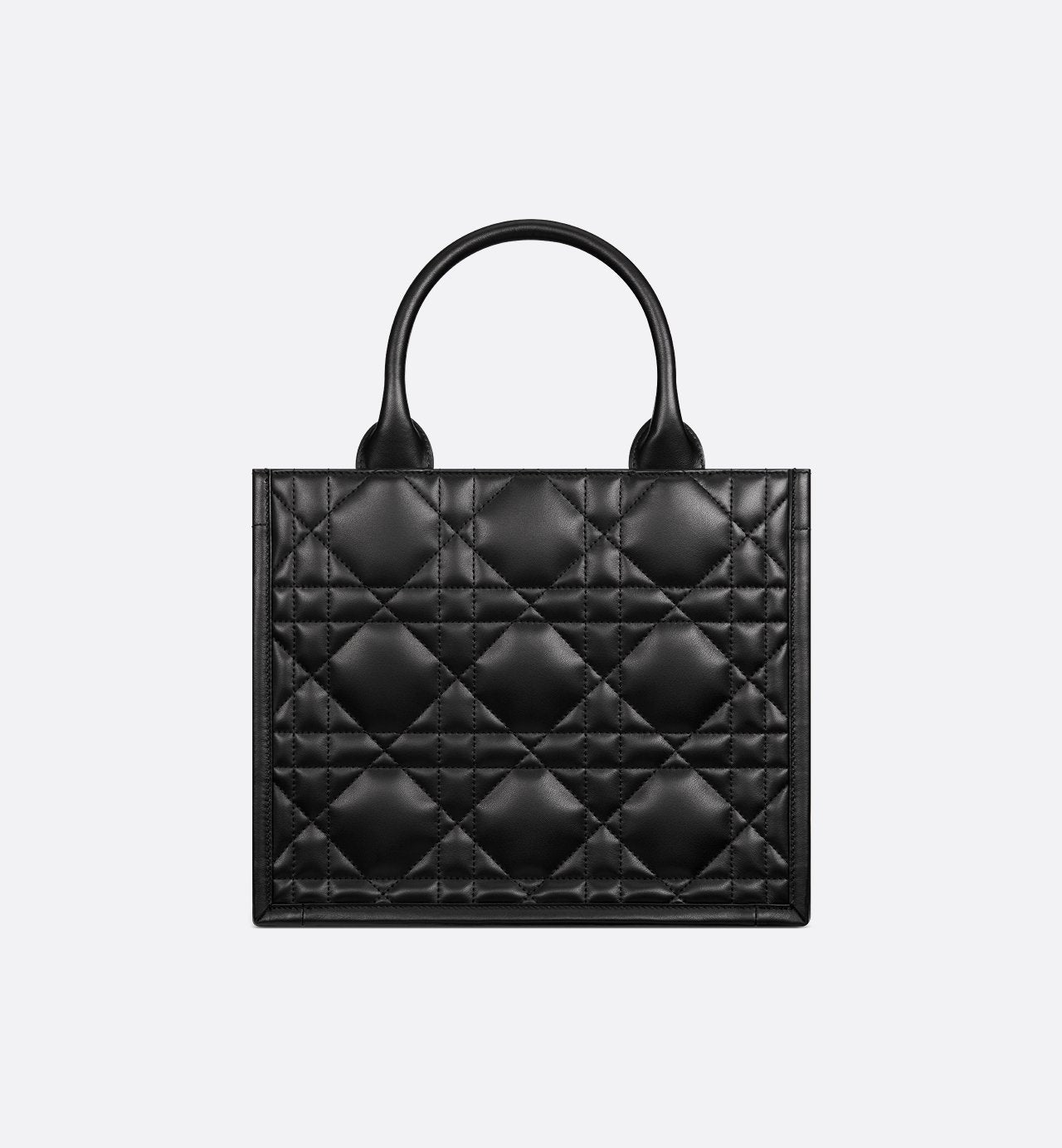 Sac Dior Book Tote Small
