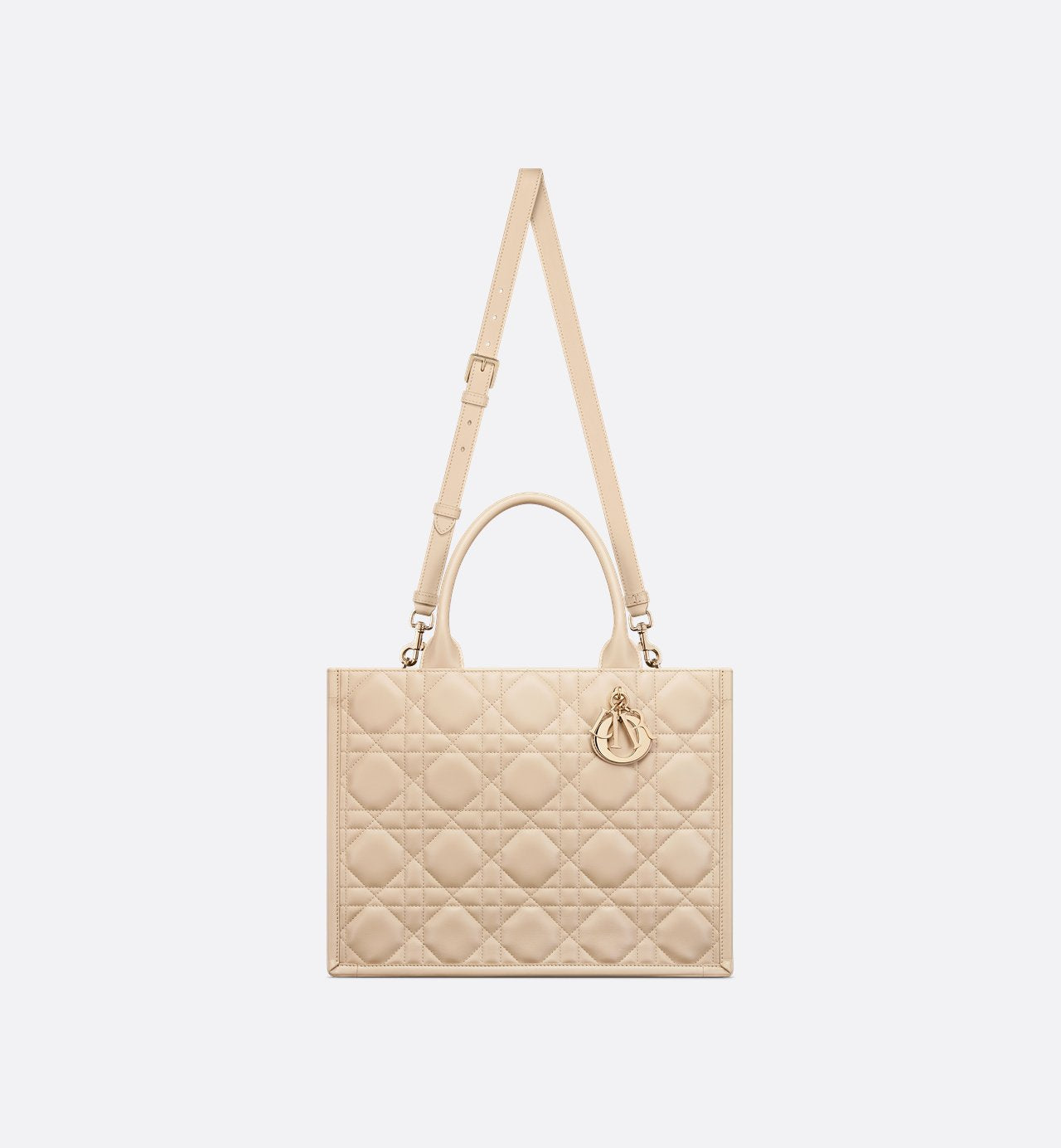 Sac Dior Book Tote Medium