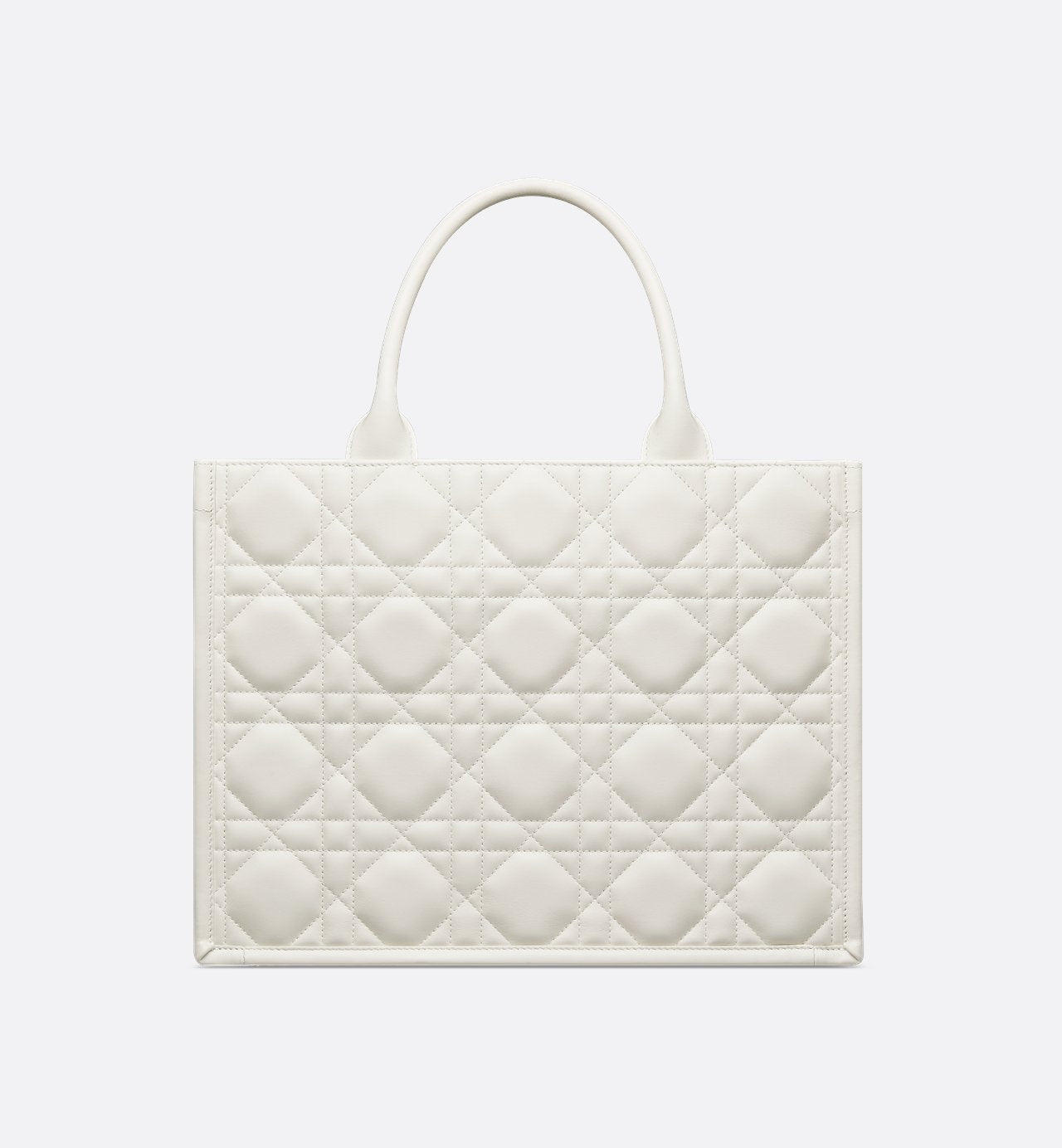 Sac Dior Book Tote Medium