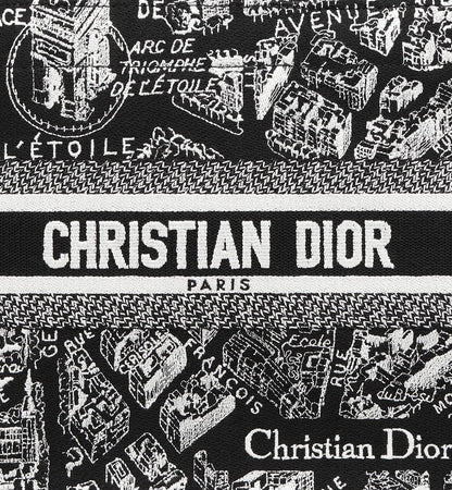 Sac Dior Book Tote Small