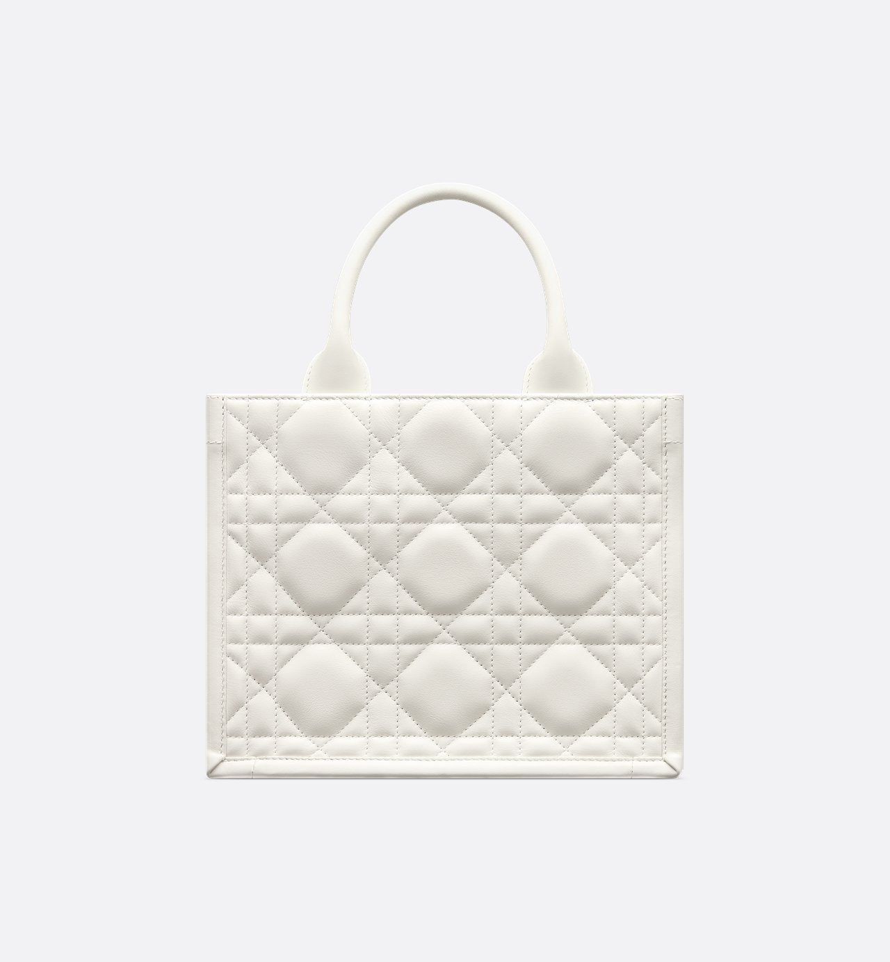 Sac Dior Book Tote Small