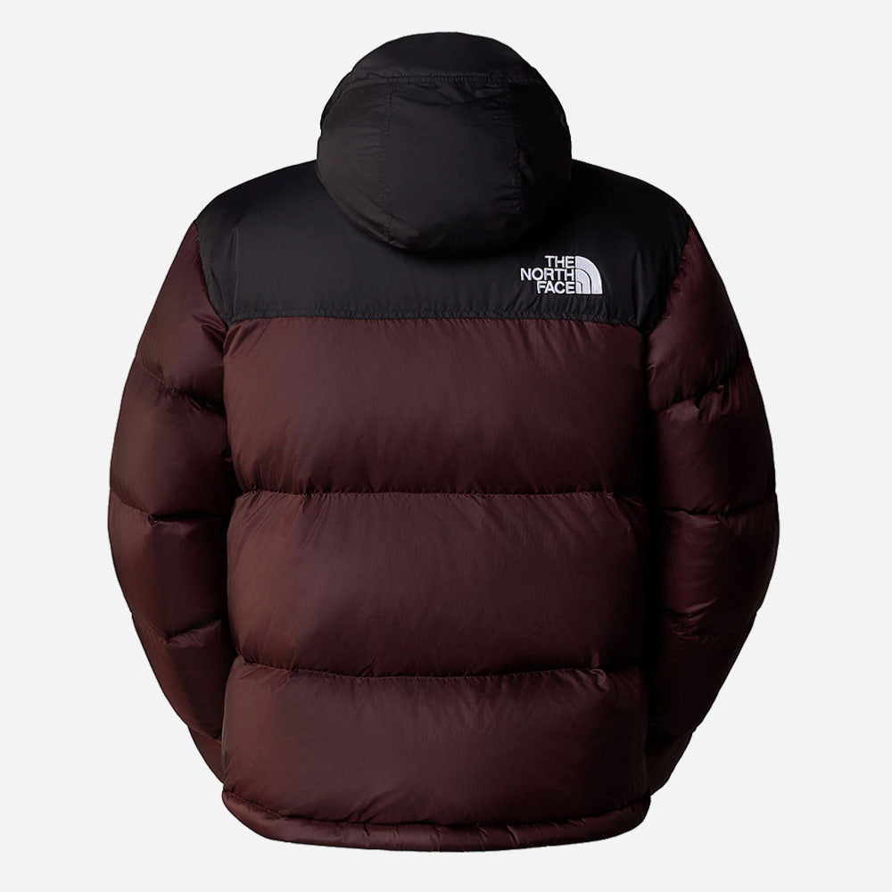 Veste Nuptse - Marron